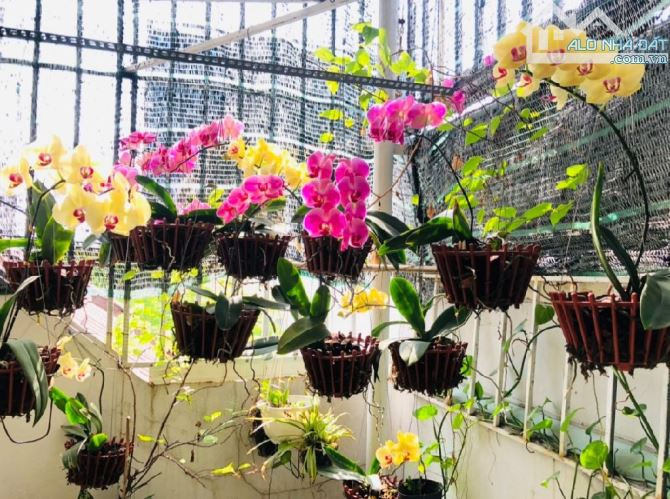 Cần bán gấp nhà đẹp 3 tầng đường Lê Lợi vị trí cực đẹp trung tâm thành phố. Diện tích: 85m - 2