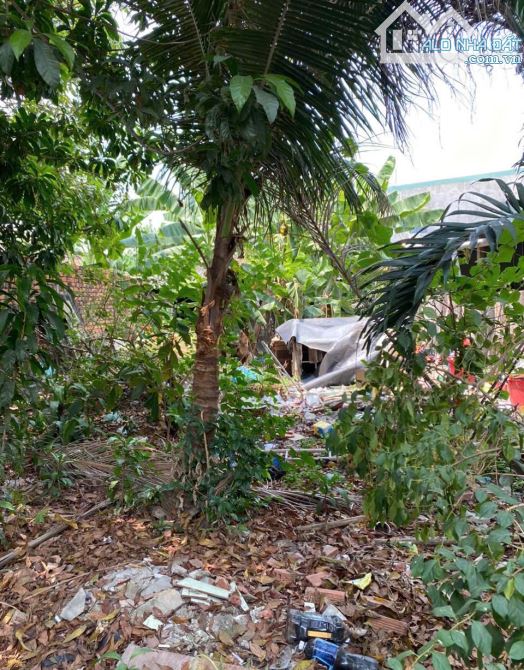 D206 🆘 Thanh Lí Lô Đất Phường An Hoà Cách Đường Ngô Quyền 100m .  • diện tích 6 x 46 tổng - 3