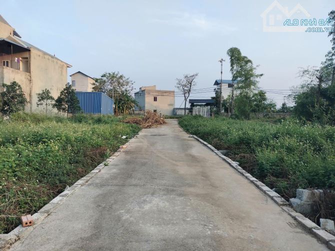 54,9M Khu cây Đa Mỹ Lương, giá đầu tư chỉ 1,5 tỉ - 3