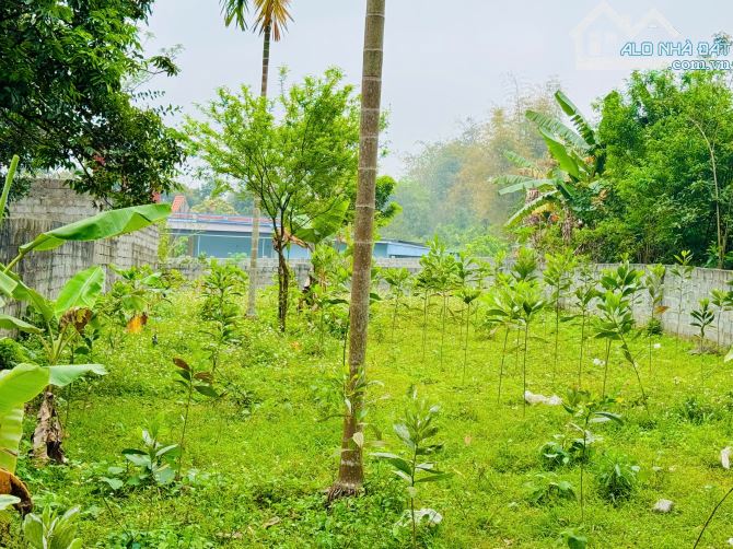 ✅Tổng DT 347m Full đất ở đô thị, MT hơn 9m, nở hậu 10m, sâu 34m tại TT Bo, Kim Bôi, Hòa Bì - 3