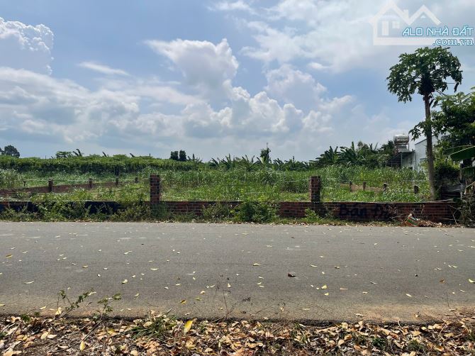 CẦN BÁN LÔ ĐẤT MẶT TIỀN NHỰA 1383 m² (120 đất ở ) LONG PHƯỚC – TP. BÀ RỊA – VŨNG TÀU - 3