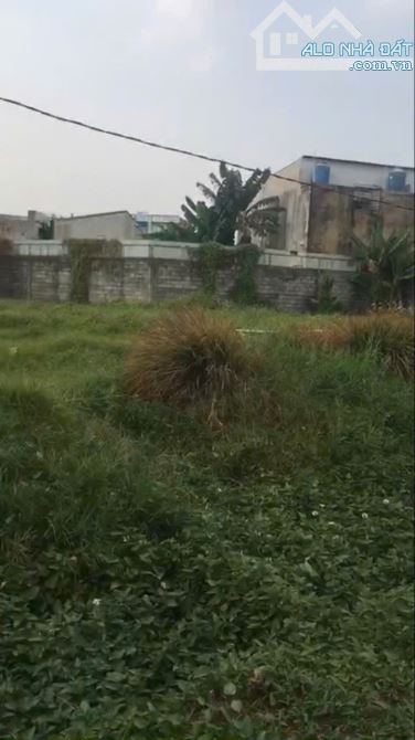 Bán đất rộng Hóc môn , 2.837 m2 , sổ đỏ - 2