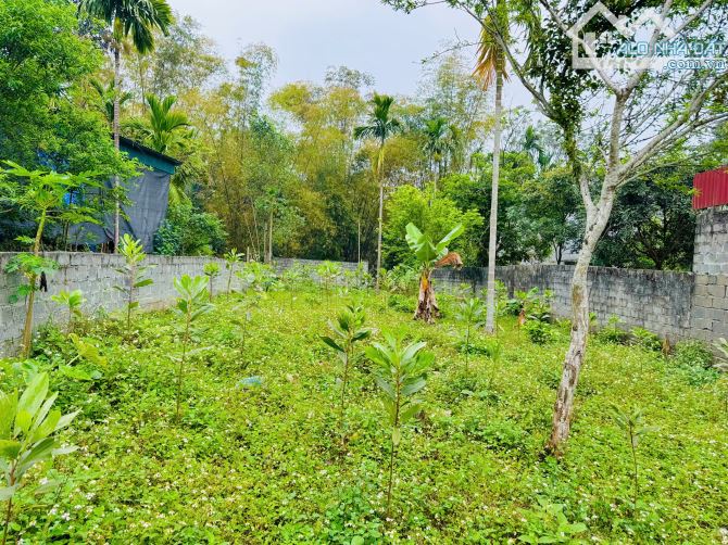 ✅Tổng DT 347m Full đất ở đô thị, MT hơn 9m, nở hậu 10m, sâu 34m tại TT Bo, Kim Bôi, Hòa Bì - 4