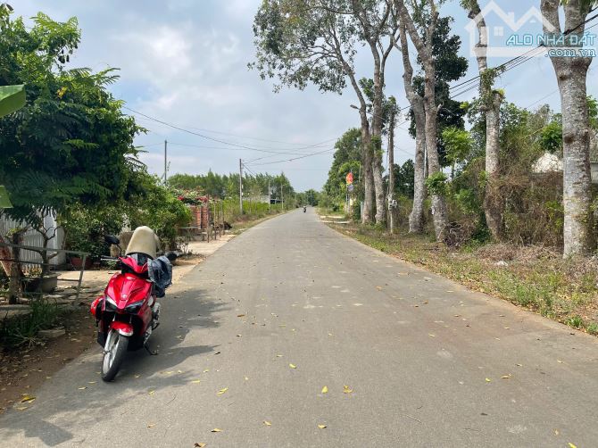 CẦN BÁN LÔ ĐẤT MẶT TIỀN NHỰA 1383 m² (120 đất ở ) LONG PHƯỚC – TP. BÀ RỊA – VŨNG TÀU - 4