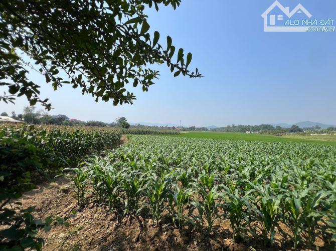 🌈BÁN ĐẤT DIỆN TÍCH LỚN 600M2 LÝ NAM ĐẾ🚀 - 5