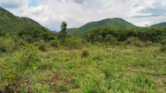 Bán lô đất view sông Cu Đê, 50 tỷ, 9956 m2, mặt tiền 160m, Hòa Bắc, Hòa Vang, Đà Nẵng - 5