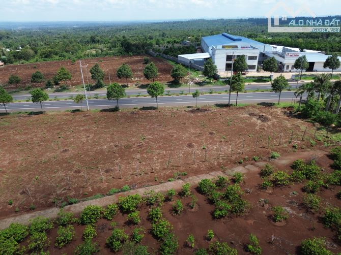 BÁN ĐẤT MẶT TIỀN 10/3 HƯỚNG BẮC, MỖI THỬA 1000 M2, GIÁ 5.5 TỶ - 5