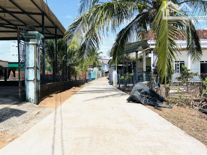 GẦN CỬA BIỂN AN DŨ, HẺM XE HƠI THÔNG NGUYỄN THỊ ĐỊNH, 12 X 19,5M, FUll THỔ CƯ, GIÁ 1,1 TỶ - 5