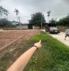 Lô góc 52m² siêu đẹp – Sen Phương, Phúc Thọ – View sông Hồng cực chill – Giá chỉ 3x triệu