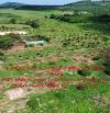 BÁN NHANH 6,5HA ĐẤT VƯỜN ĐẸP – SỔ SẴN – GIÁ CHỈ 135TR/1.000M²