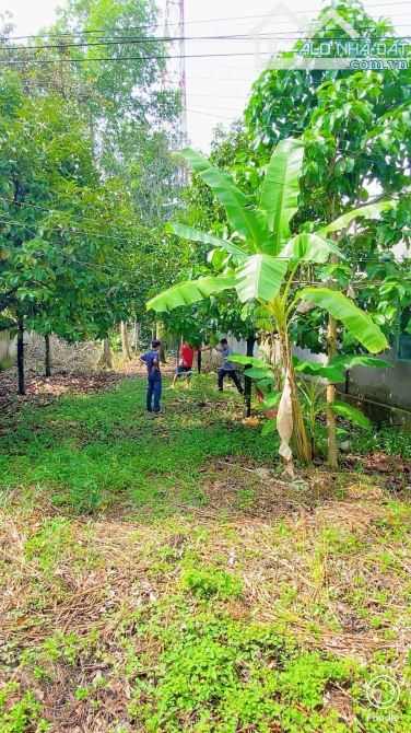 Bán đất 310 m2 thổ cư gần chợ Mỹ Khánh view sông