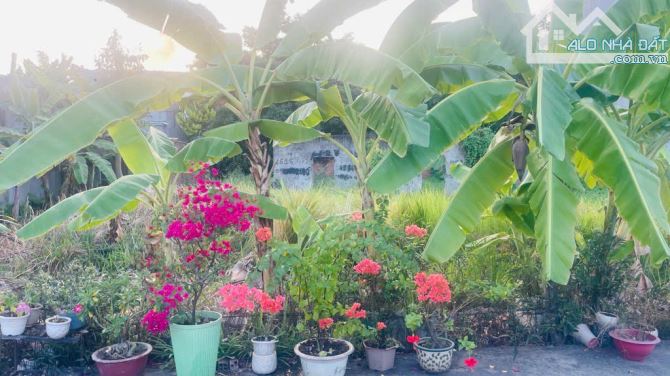 🔥Đất Thổ Cư,THẠNH XUÂN 25, Phường THẠNH XUÂN, Quận 12.dt 106m2(4x26) đường 10m💵 4,7tỷ.