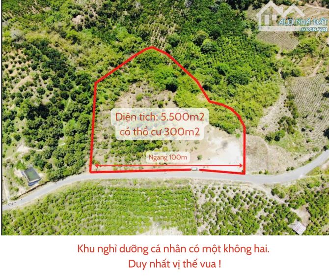 🎯 CƠ HỘI SỞ HỮU KHU NGHỈ DƯỠNG ĐẲNG CẤP VIEW NÚI TẠI BẢO LỘC