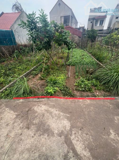 Bán 78m đất siêu đẹp . 300 ra Chợ đầu mối đông tảo mới . giá chỉ 26tr/m