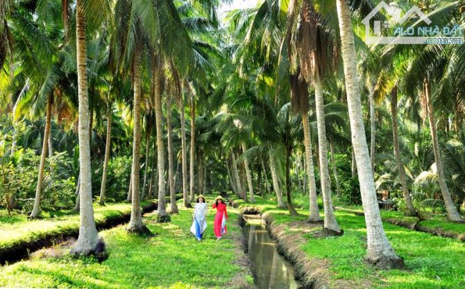 Hơn 10000m2 đất vườn, 4 sổ 300 thổ cư, sổ thể hiện đường đi, gần chợ , trường học
