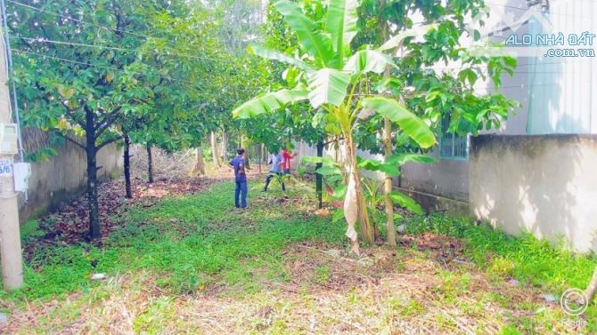 Bán đất 310 m2 thổ cư gần chợ Mỹ Khánh view sông - 1