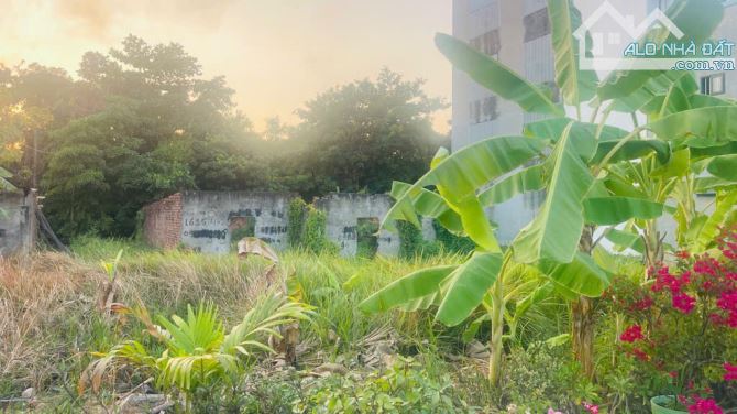 🔥Đất Thổ Cư,THẠNH XUÂN 25, Phường THẠNH XUÂN, Quận 12.dt 106m2(4x26) đường 10m💵 4,7tỷ. - 1