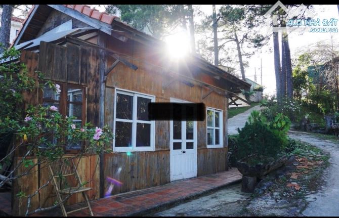 1370m2 đất khe sanh p10 view đẹp thích hợp nghỉ dưỡng, kinh doanh - 1