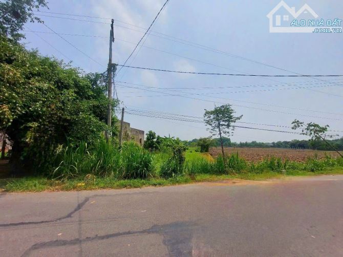 bán đất mặt tiền  Nguyễn Thị Hạnh, 10x50m, xã Đức Lập Thượng, Đức Hòa, Long An.Giá 6.5 tỷ. - 1