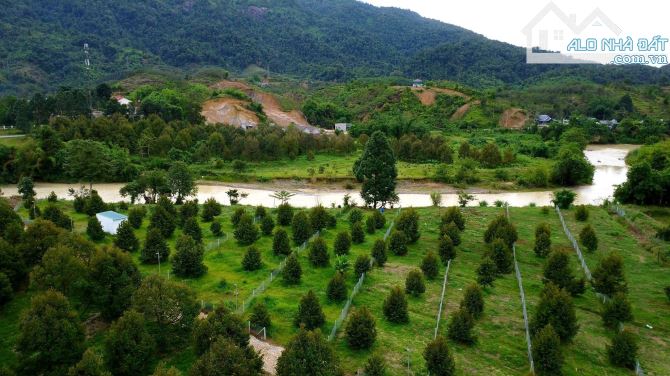 Bán lô đất xã Phước Lộc, Đa Oai, Lâm Đồng: 11,5( nở hậu: 13) x 94m, giá 1,89 tỷ - 1
