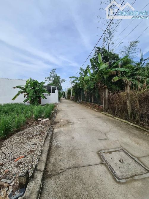 🌳 Cần chuyển nhượng đất nền đẹp , hẻm đanl nhánh PHẠM NGŨ LÃO.  👉 Diện tích: 15 * 18 (fu - 1