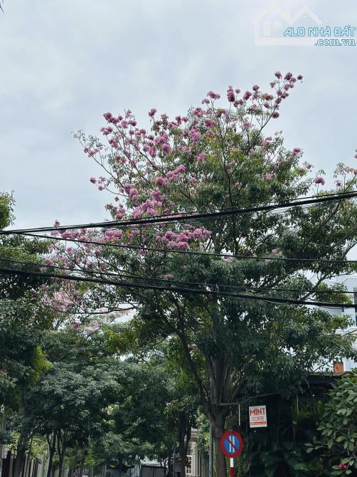 SIÊU PHẨM LÔ ĐẤT BIỆT PHỦ CỰC ĐẸP, THỔ CƯ KHỦNG NGAY BÃI SAU TP.VŨNG TÀU,GIẢM GIÁ CỰC MẠNH - 1
