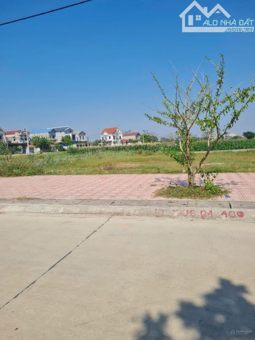 BÁN ĐẤT ĐẤU GIÁ ĐỒNG CHỦ BẮC GIANG - 1