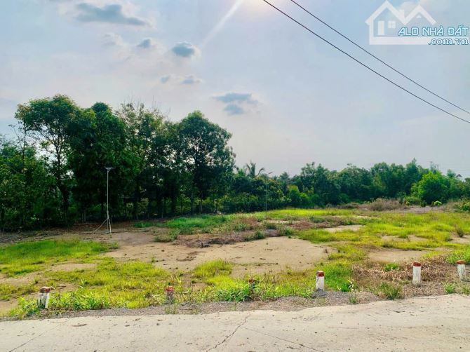 Bán đất 47 x42m (2.170m2) xã Hựu Thạnh, Đức Hòa, Long An giá 5.6 tỷ, sổ hồng riêng - 2