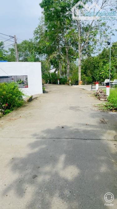 Bán đất 310 m2 thổ cư gần chợ Mỹ Khánh view sông - 2