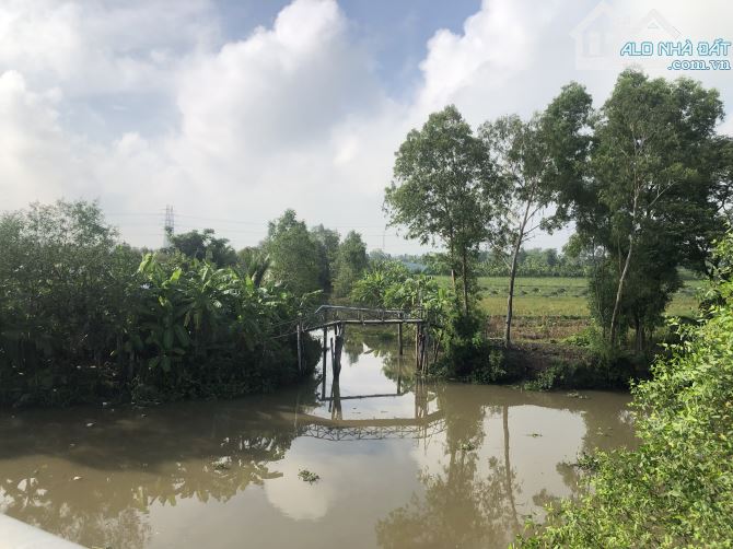 Bán 3.717 m2 sầu riêng trên tỉnh lộ 922 mới. 1tr4/m2 - 2