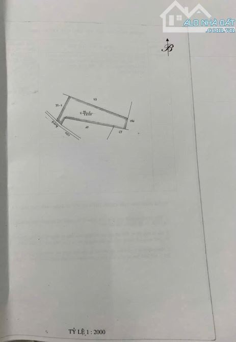 Bán gấp lô đất đường Duyên Hải, Long Hoà, Cần Giờ - 2