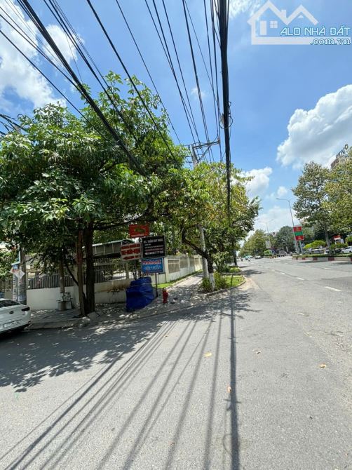 bán 1000m đất ngay Bệnh Viện Đồng Nai Amata Biên Hòa - 2