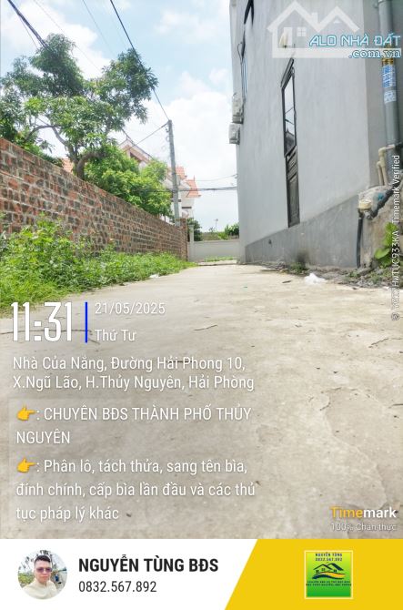 Bán đất tặng nhà cấp 4 phường Phạm Ngũ Lão, Thủy Nguyên - 2