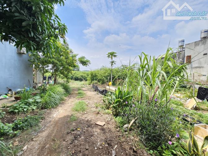 Đất gần làng đại học Quốc gia, chợ Bình An, 3595m2 thổ cư 3200m, 1187 Dĩ An - 2