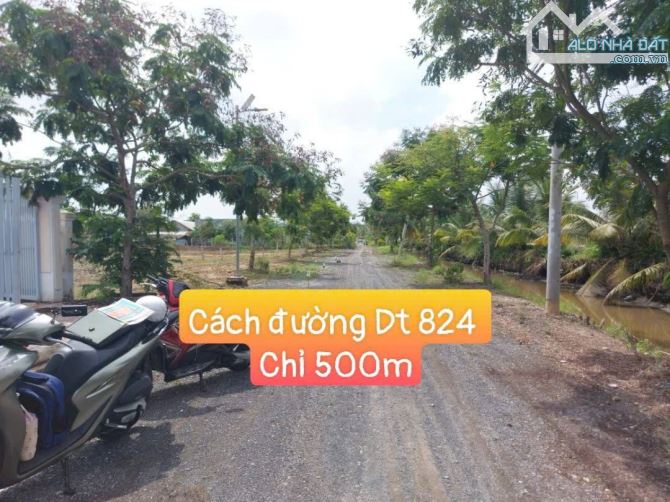 BÁN 5 LÔ ĐẤT LÀM NHÀ VƯỜN - GIÁ RẺ - THỊ TRẤN ĐỨC HÒA- GỌI CHO EM XEM ĐẤT - 2