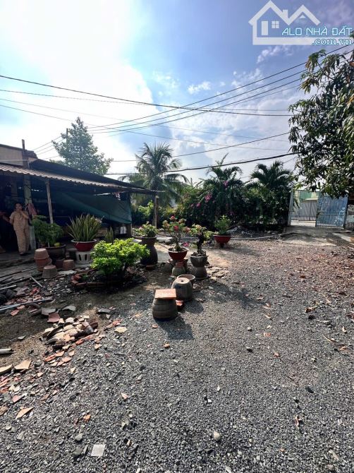 Đất 1400m2 full thổ cư mặt tiền Nguyễn Thị Nhuần, rẻ hơn đất hẻm. - 2