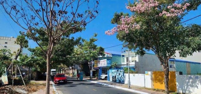 SIÊU PHẨM LÔ ĐẤT BIỆT PHỦ CỰC ĐẸP, THỔ CƯ KHỦNG NGAY BÃI SAU TP.VŨNG TÀU,GIẢM GIÁ CỰC MẠNH - 2