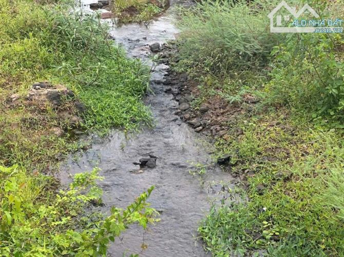 Bán vườn trái cây Châu Đức Láng Lớn view suối 2000m2 100 thổ cư - 3