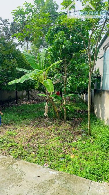 Bán đất 310 m2 thổ cư gần chợ Mỹ Khánh view sông - 3