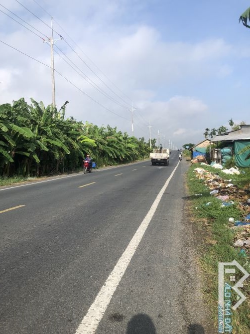 Bán 3.717 m2 sầu riêng trên tỉnh lộ 922 mới. 1tr4/m2 - 3
