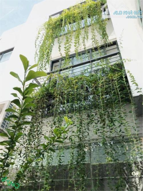 🏡 Bán nhà Nguyễn Tri Phương, Q.10, lô góc nở hậu, khu VIP, 8.x tỷ! - 3