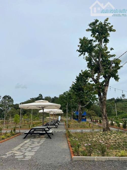 Bán đất Đang Kinh Doanh Buôn Bán ấp Bàu Chim, Xã Phú Xuân, Tân Phú Đồng Nai - 3