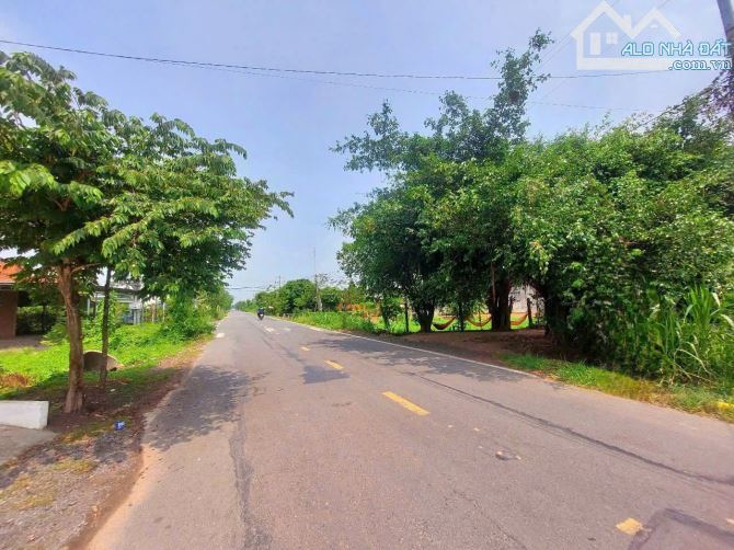 bán đất mặt tiền  Nguyễn Thị Hạnh, 10x50m, xã Đức Lập Thượng, Đức Hòa, Long An.Giá 6.5 tỷ. - 3
