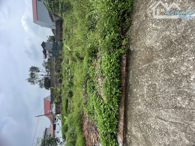Cần bán 100m2 đất đẹp Tân Dân – Sóc Sơn, ngõ thông, ô tô tránh, giá tốt - 3