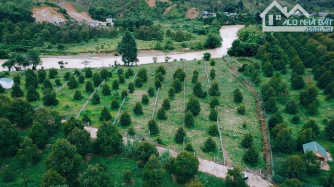 Bán lô đất xã Phước Lộc, Đa Oai, Lâm Đồng: 11,5( nở hậu: 13) x 94m, giá 1,89 tỷ - 3