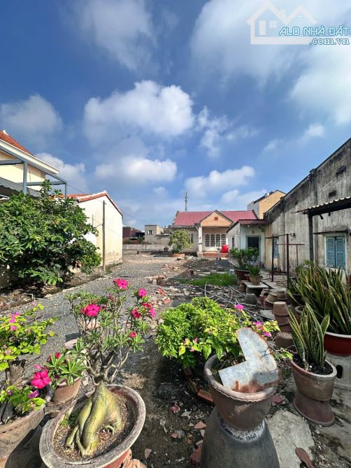 Đất 1400m2 full thổ cư mặt tiền Nguyễn Thị Nhuần, rẻ hơn đất hẻm. - 3