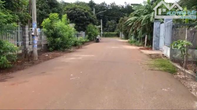 Đất Sào mặt tiền đường nhựa 89TDT: 1515m2   Thuộc Long Phước TP _BR_VT: - 3