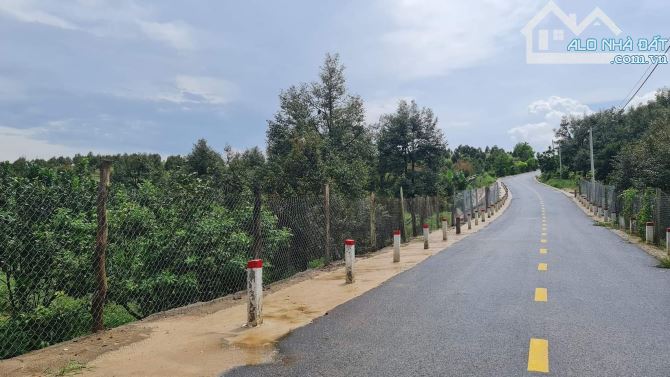Bán lô đất xã Phước Lộc, Đa Oai, Lâm Đồng: 11,5( nở hậu: 13) x 94m, giá 1,89 tỷ - 4