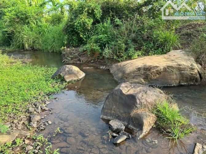 Bán vườn trái cây Châu Đức Láng Lớn view suối 2000m2 100 thổ cư - 5