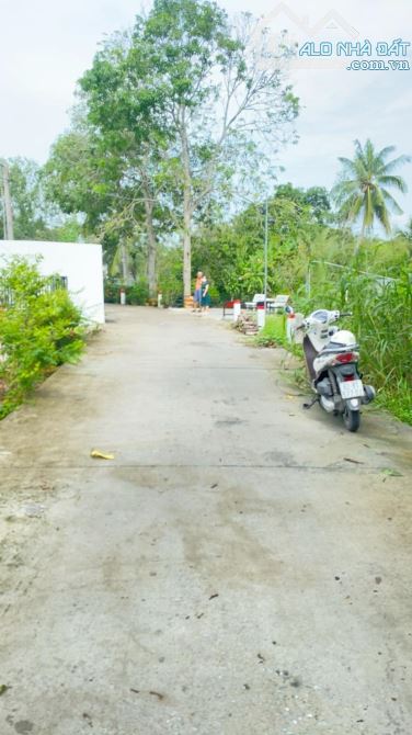 Bán đất 310 m2 thổ cư gần chợ Mỹ Khánh view sông - 6